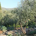 Appartement Iva Molunat
