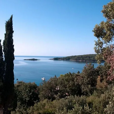 Iva Apartman Molunat