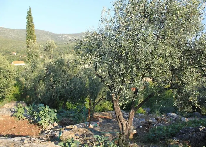 Apartamento Iva Molunat