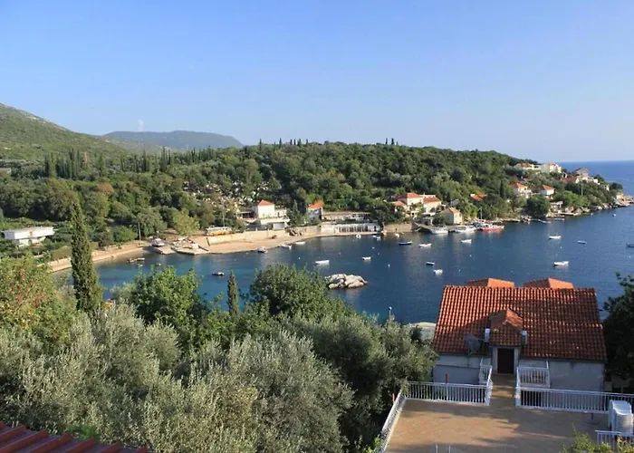 Iva Apartman *