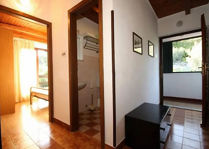 Iva Apartman Molunat