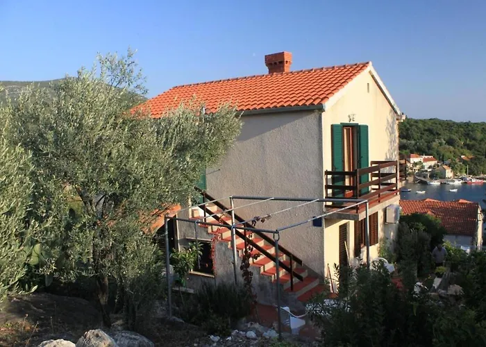 Apartman Iva Molunat